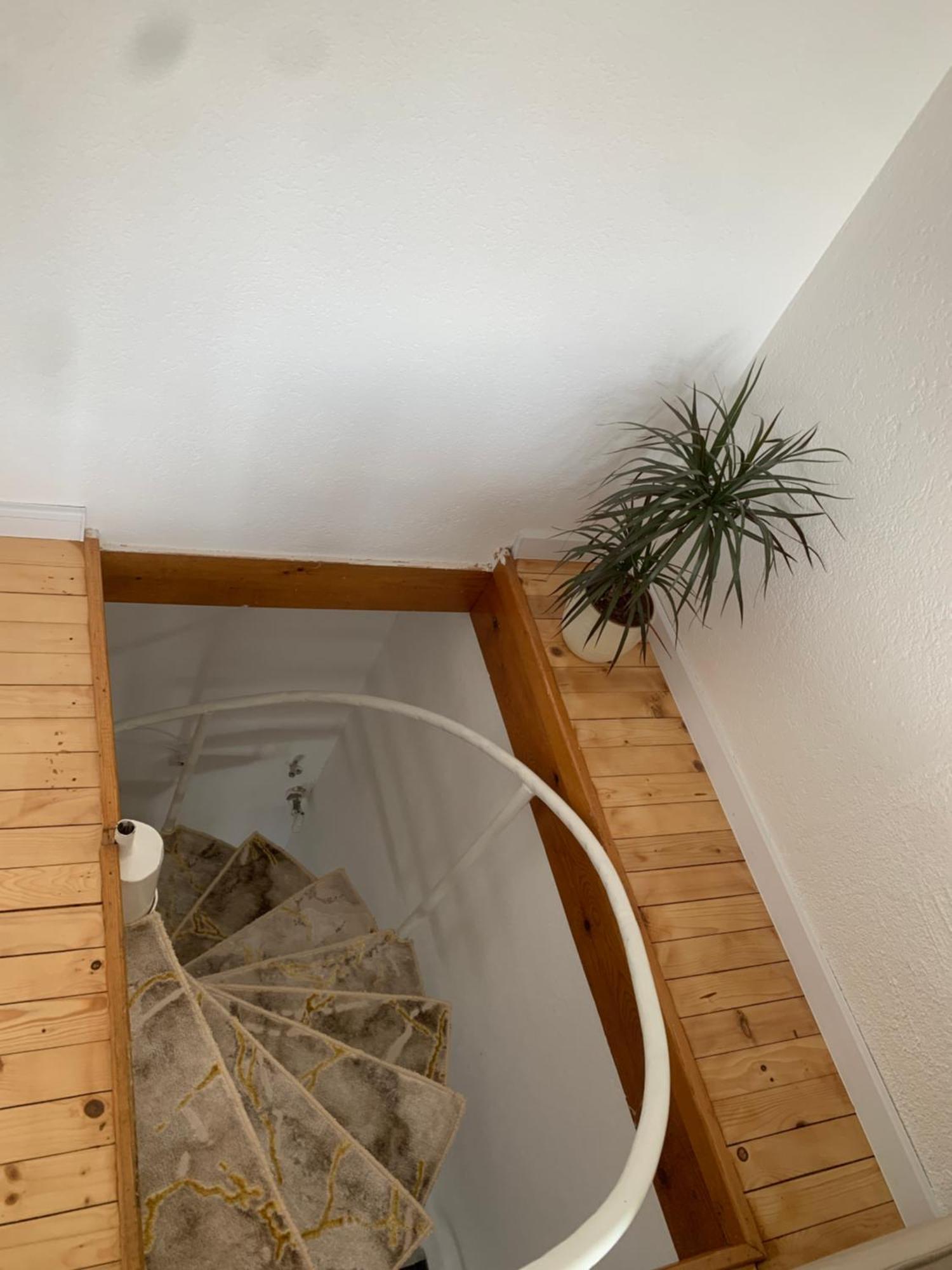 Little Heaven Free Parking Apartment Sarajevo Exterior photo